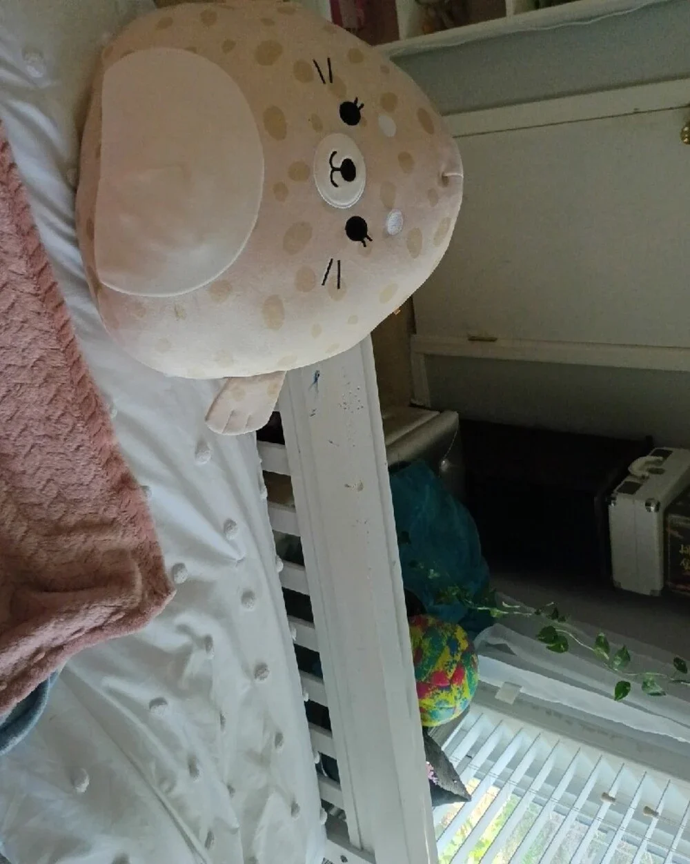 Squishmallows cute seal